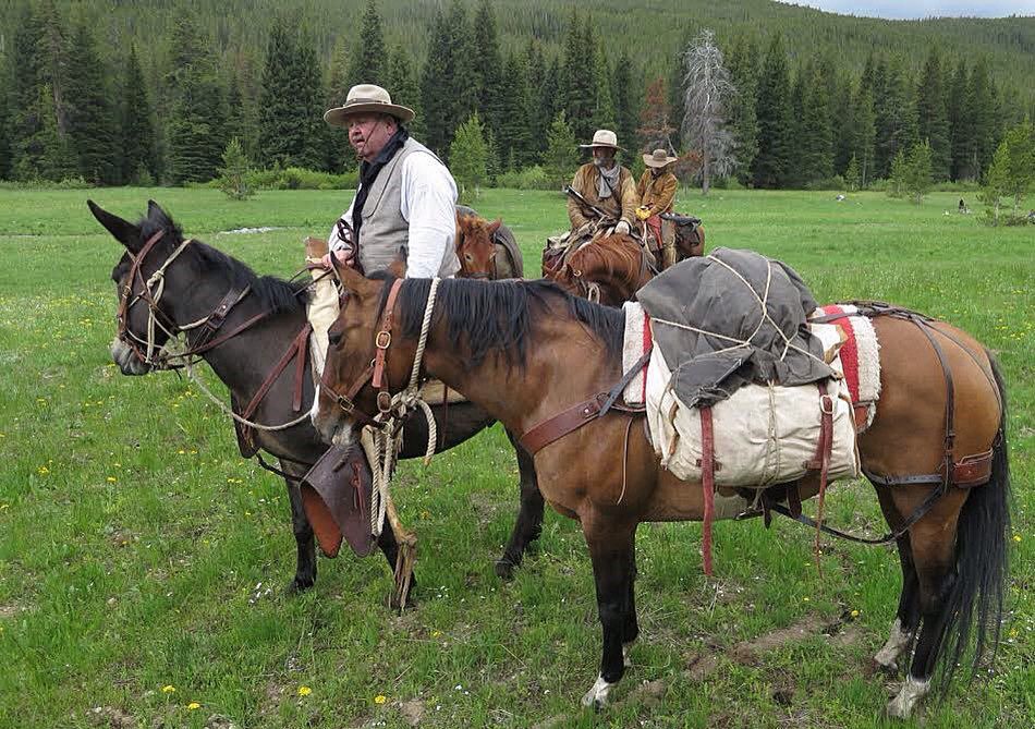 Mule rider